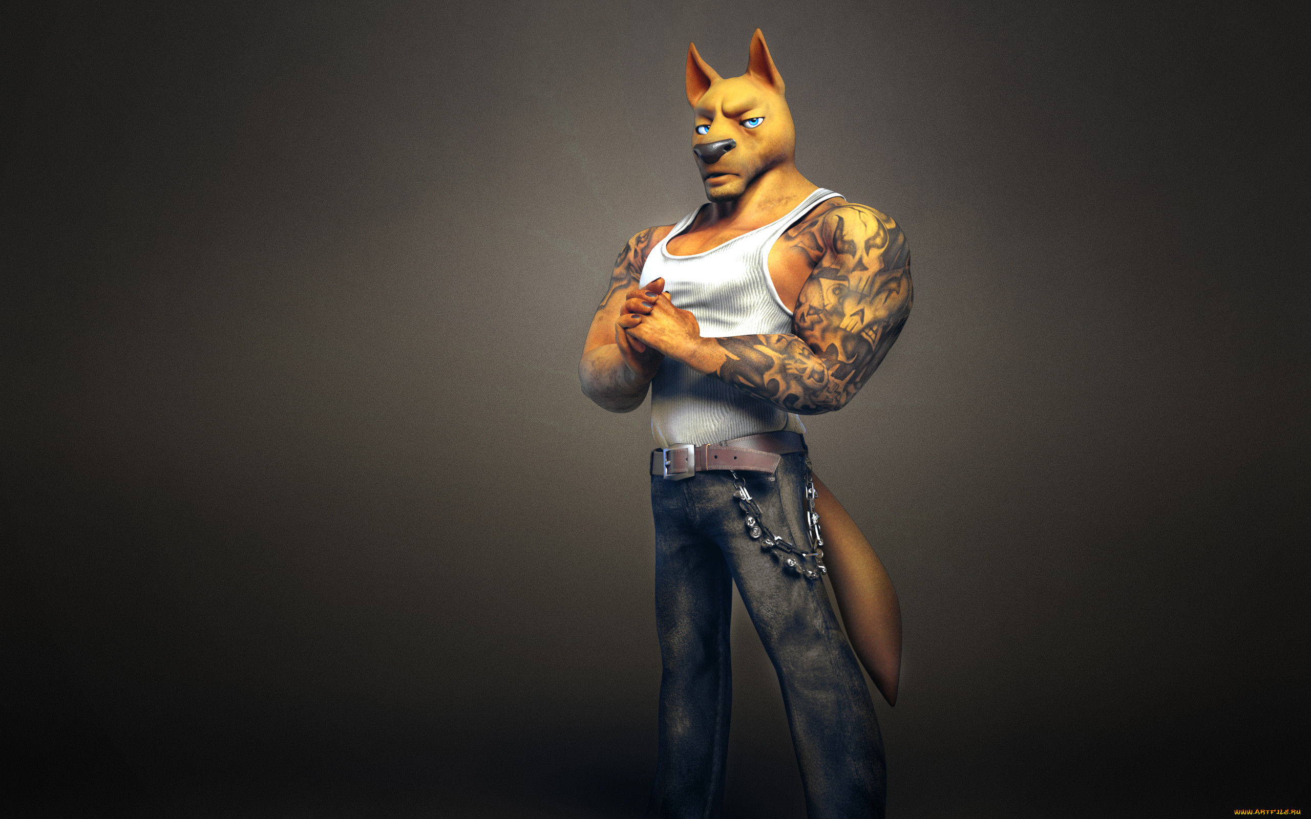 , 3 , creatures , , dog, , 
